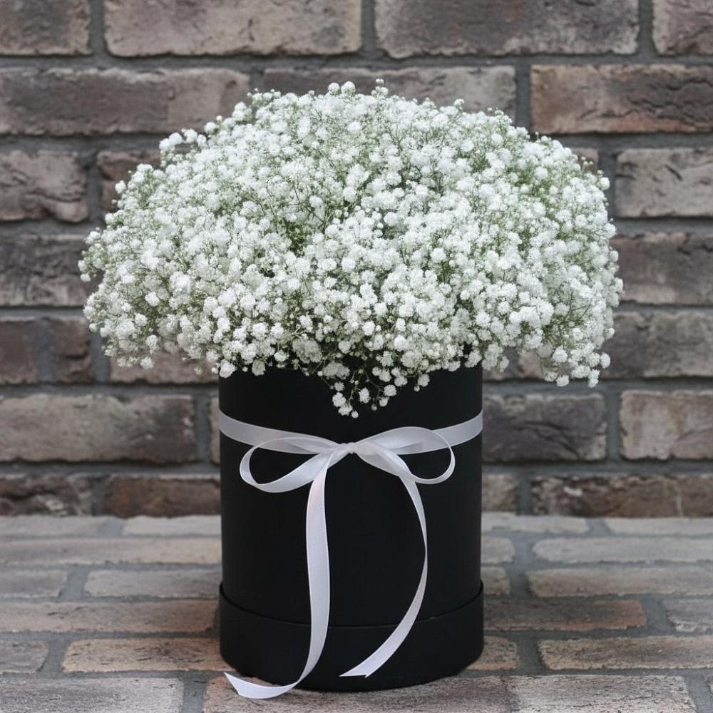 Цветочная композиция из Гипсофила в шляпной коробке в Красноармейске Саратовской области