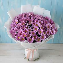 Букет цветов из:  Хризантемы в Красноармейске Саратовской области