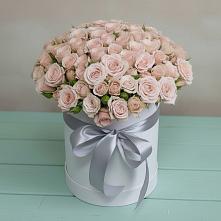 Цветочная композиция из Розы в шляпной коробке #REPLACE_PRED# Красноармейске Саратовской области