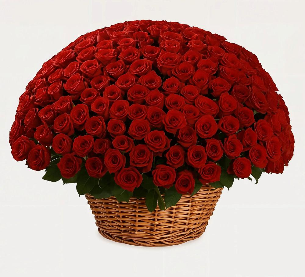 Премиум букет из: Розы в Красноармейске Саратовской области