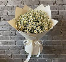 Букет цветов из:  Ромашки #REPLACE_PRED# Красноармейске Саратовской области