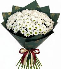 Букет цветов из:  Хризантемы #REPLACE_PRED# Красноармейске Саратовской области