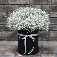 Цветочная композиция из Гипсофила в шляпной коробке #REPLACE_PRED# Красноармейске Саратовской области