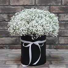 Цветочная композиция из Гипсофила в шляпной коробке в Красноармейске Саратовской области