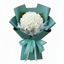 Букет цветов из:  Гортензия в Красноармейске Саратовской области